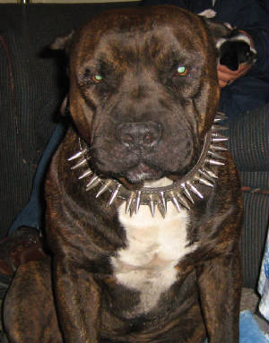 img0093.jpg