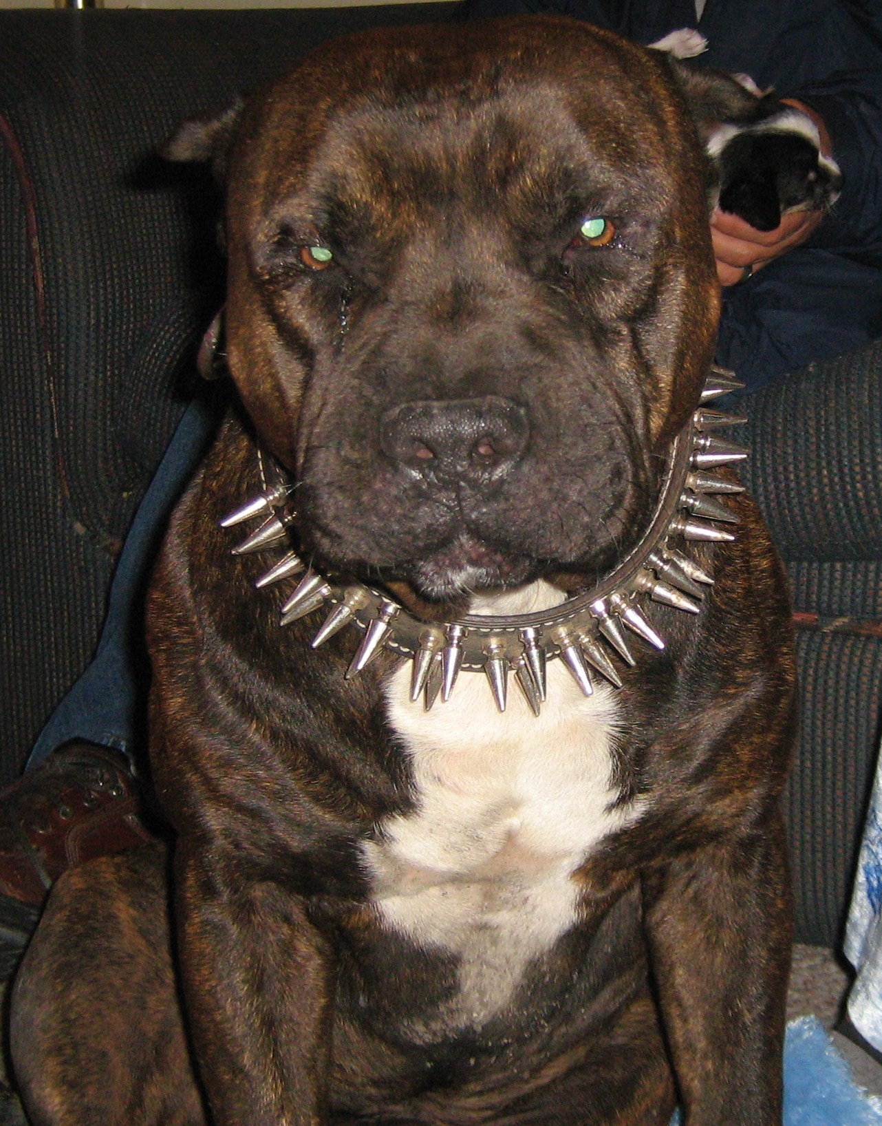 img0093.jpg