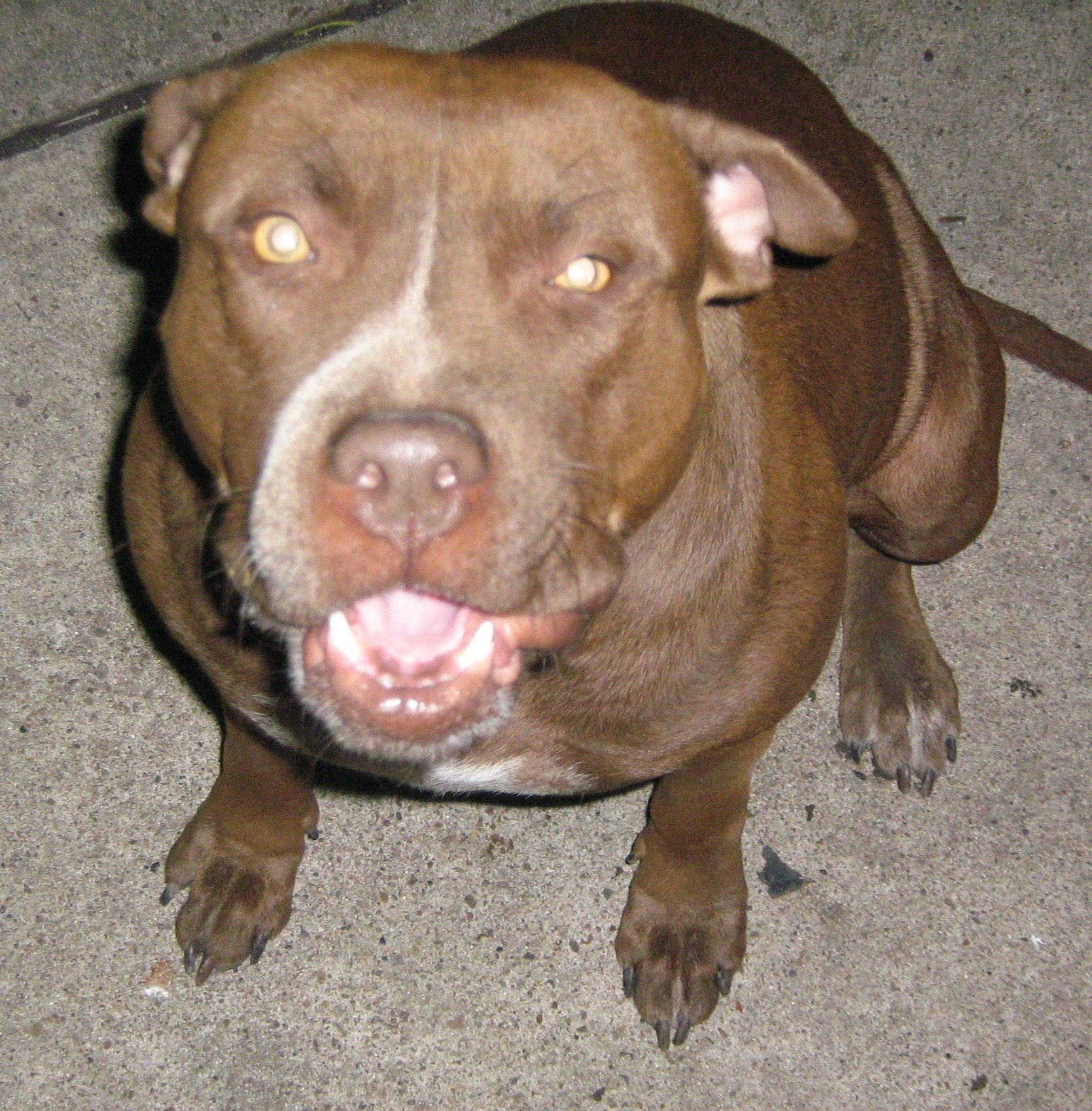 img0122.jpg